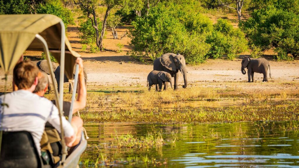 safari-com-nominated-for-world-travel-awards