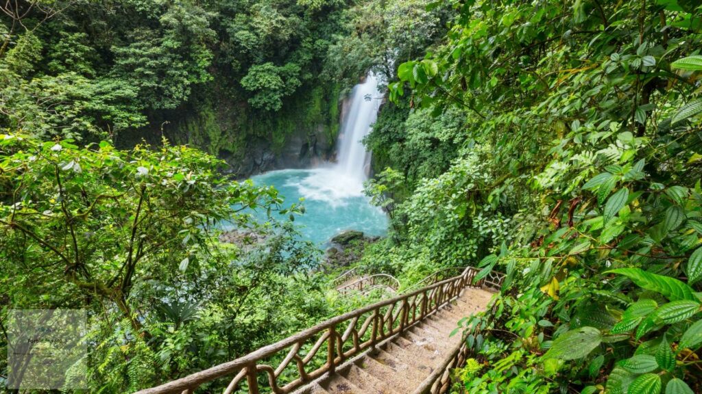 Costa Rica Coffee Trail Plantation to Cup Journey