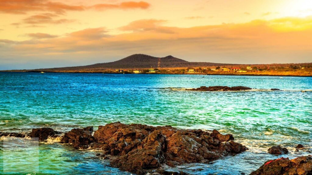 Galapagos Cruise vs Land Tour