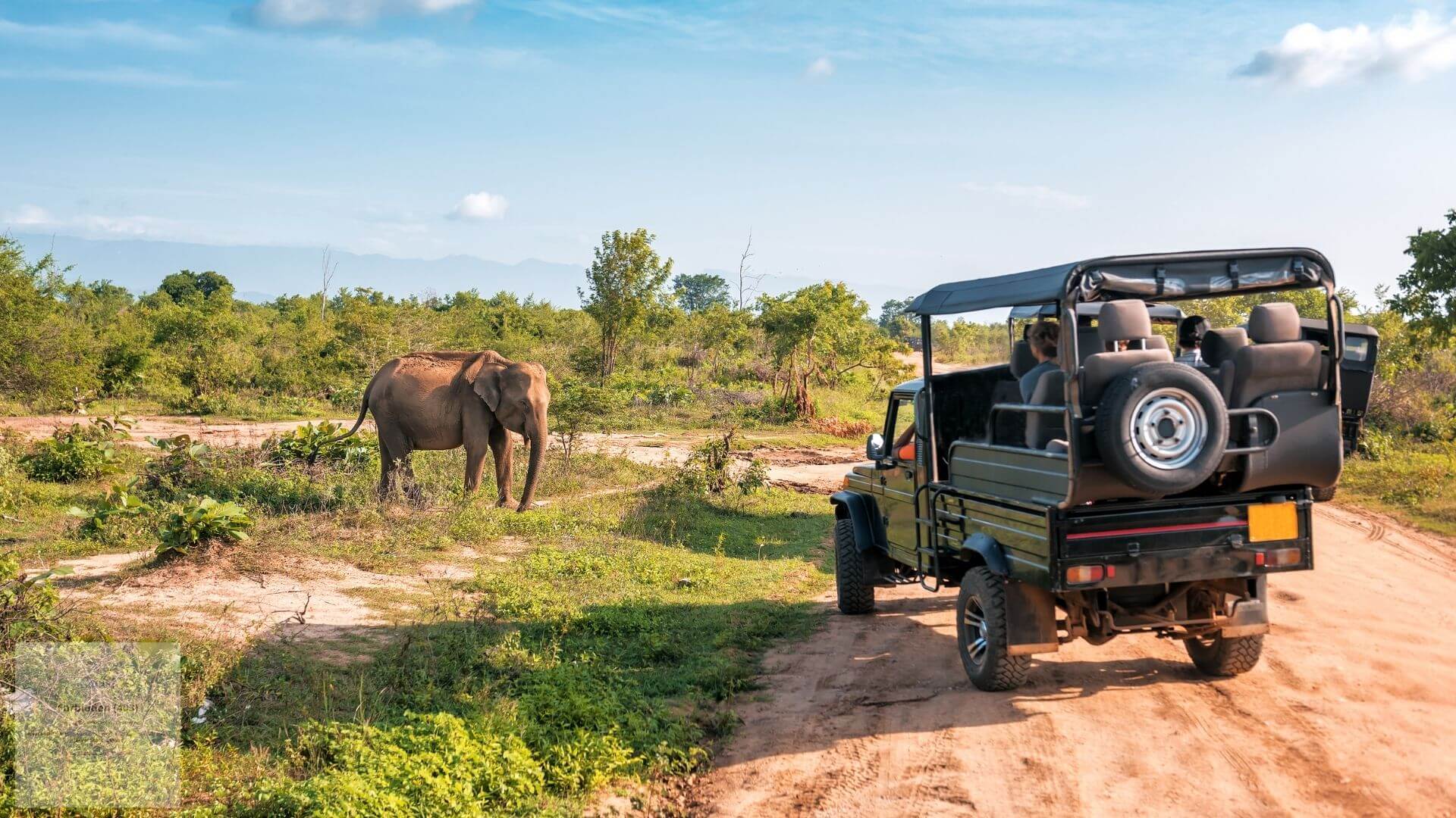 safari resorts South Africa