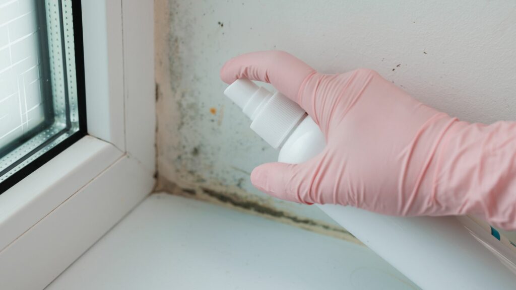 Health Symptoms Linked to Mold Exposure