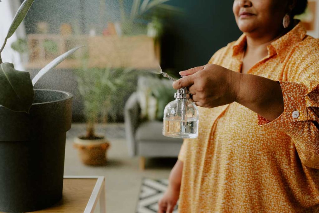 DIY Natural Ant Deterrents