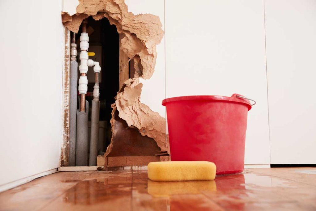 Hidden Water Leaks and Plumbing Issues