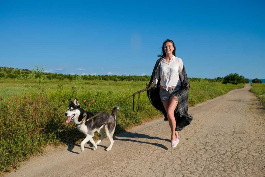 dog walking tips