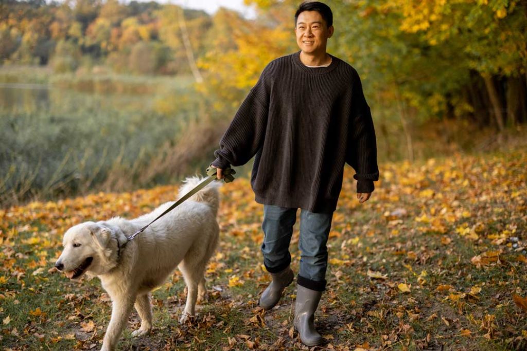 fun dog walking ideas