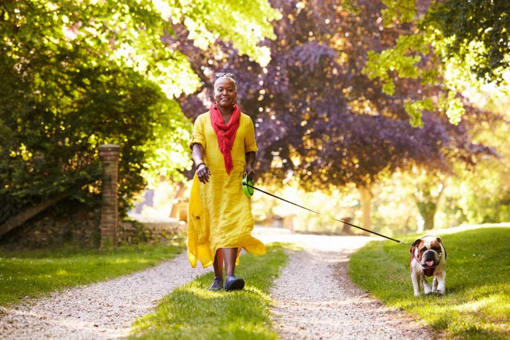 how to enjoy walking your dog