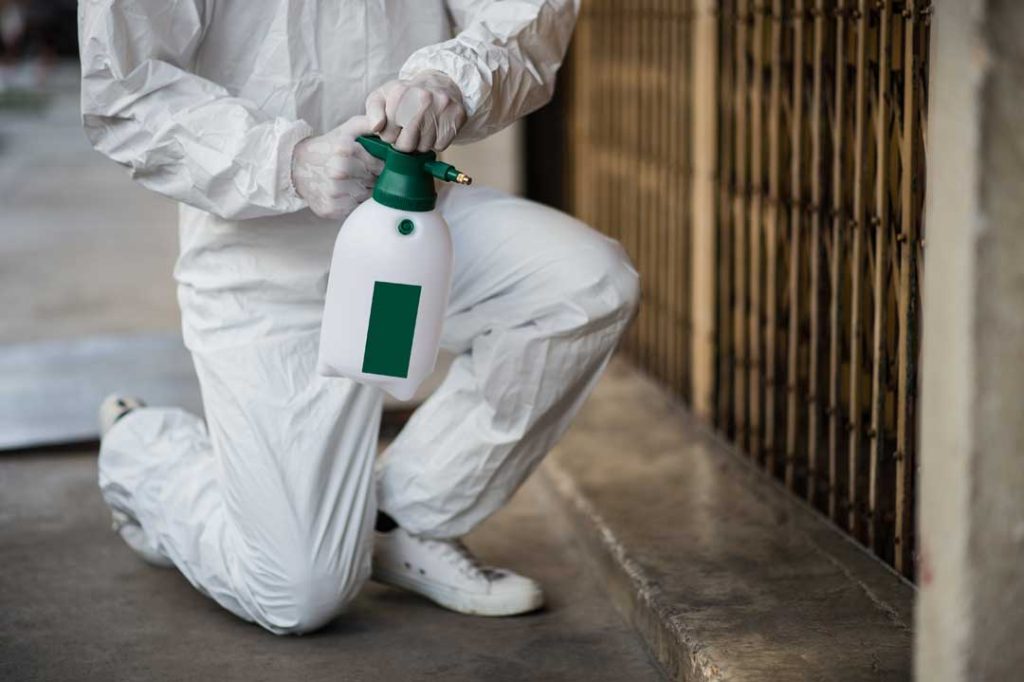 pest control tips for parents