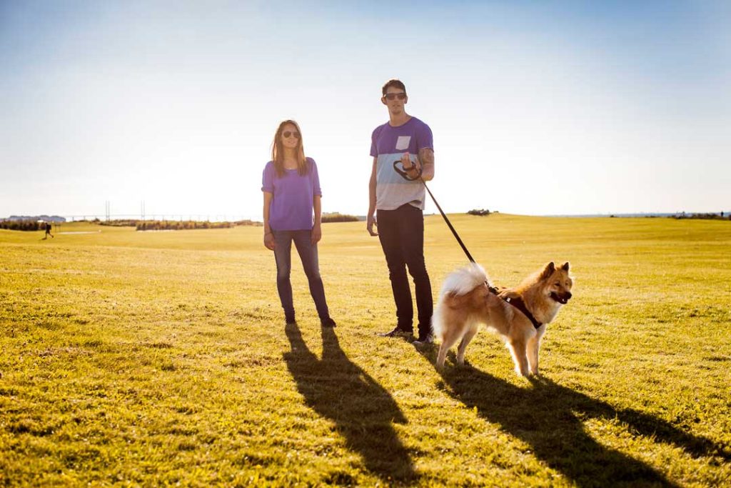 relaxing dog walk routines