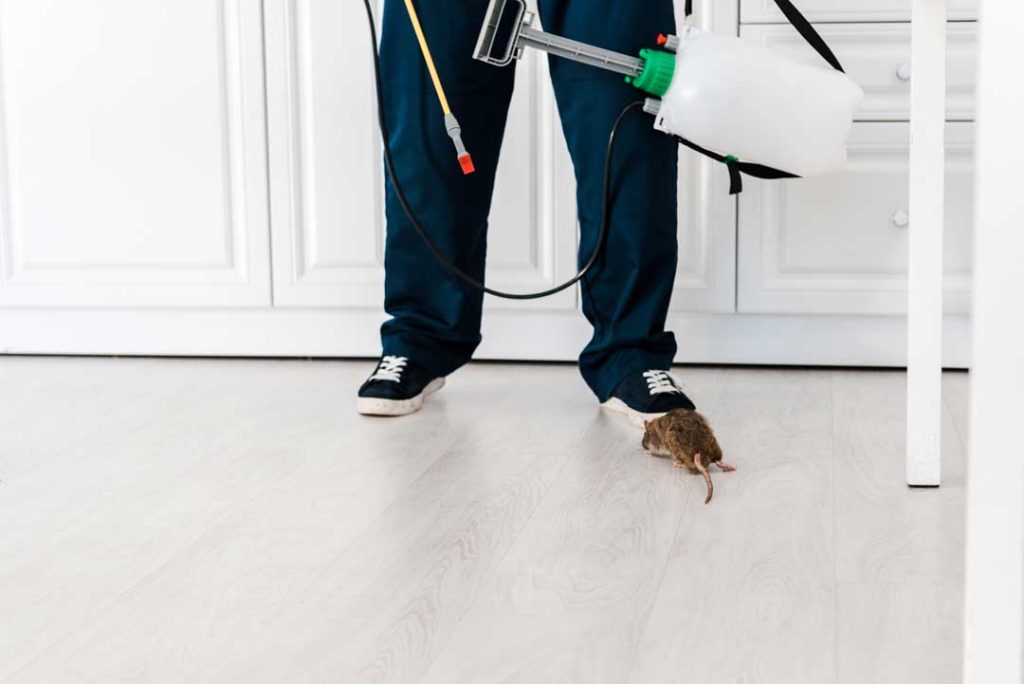 Certified pest control