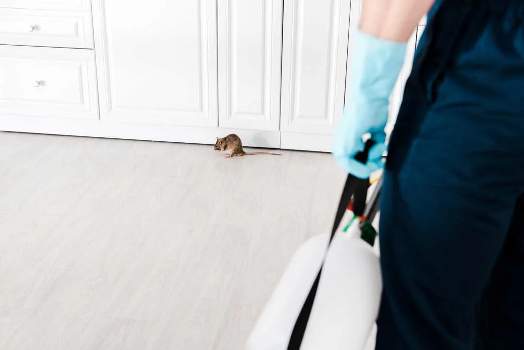 Early Warning Signs Your Home Might Be Infested