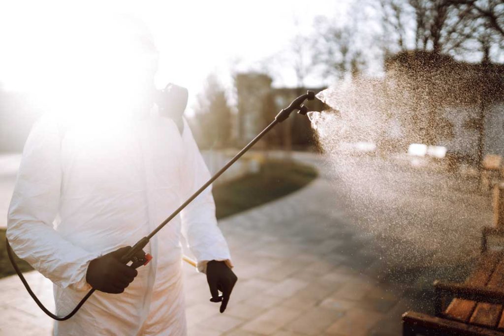Eco-friendly pest control methods in Idaho