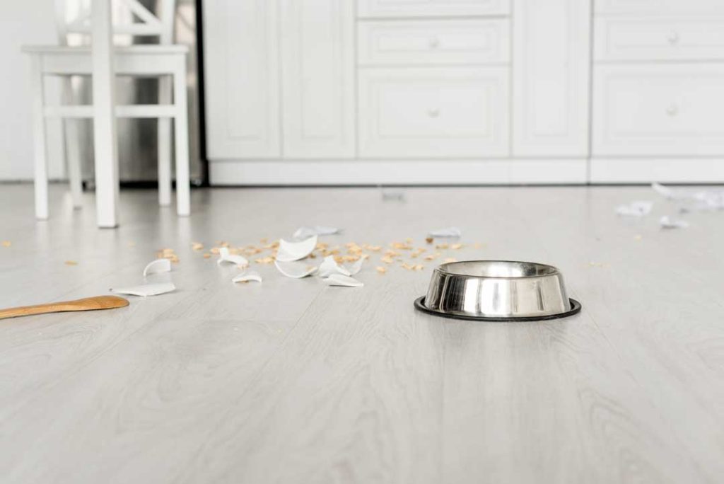 Pet food and spilled kibble on the floor