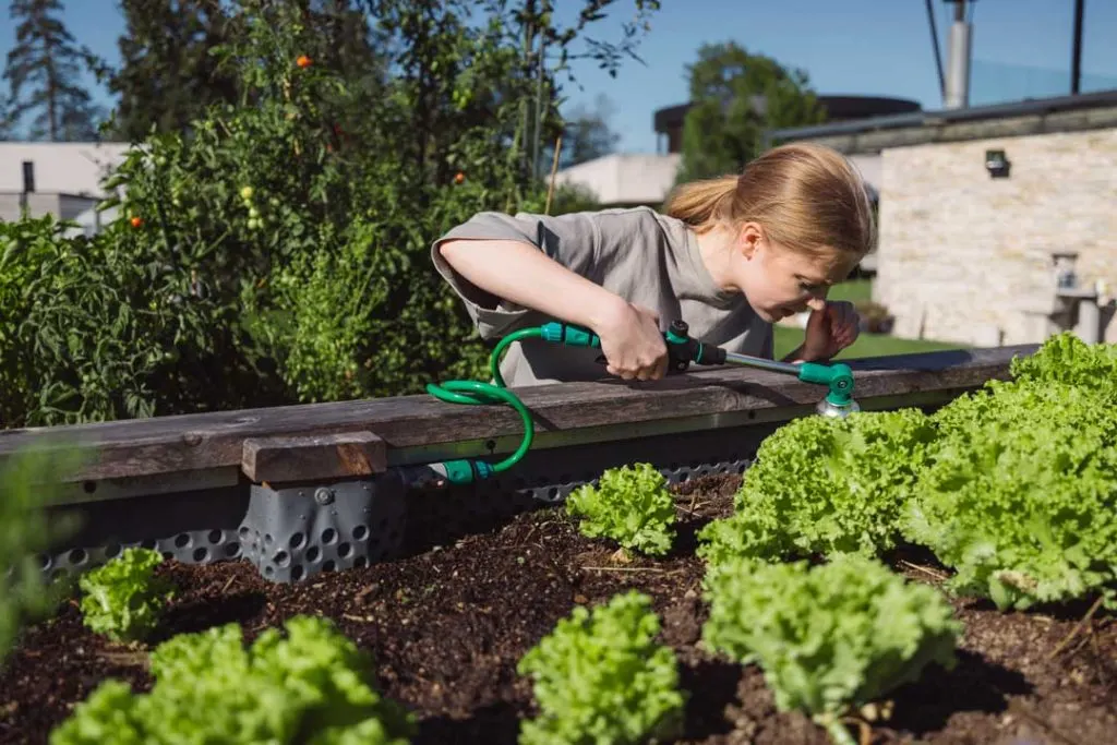 Raised vegetable garden beds with children watering plants