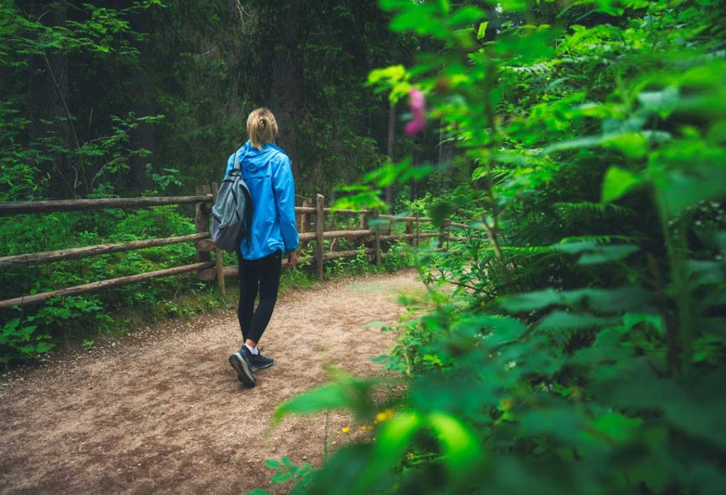 Walking in nature for mental clarity