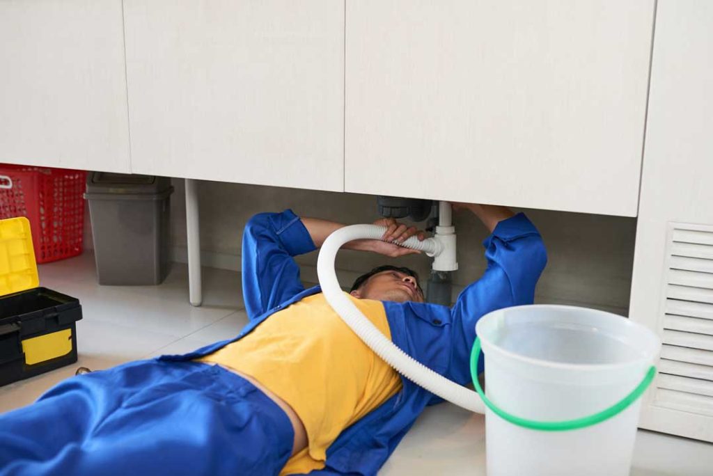 Leaky plumbing creating moisture for pests