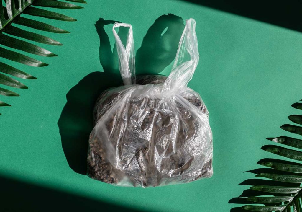 Weed stored poorly in a plastic bag, losing freshness.
