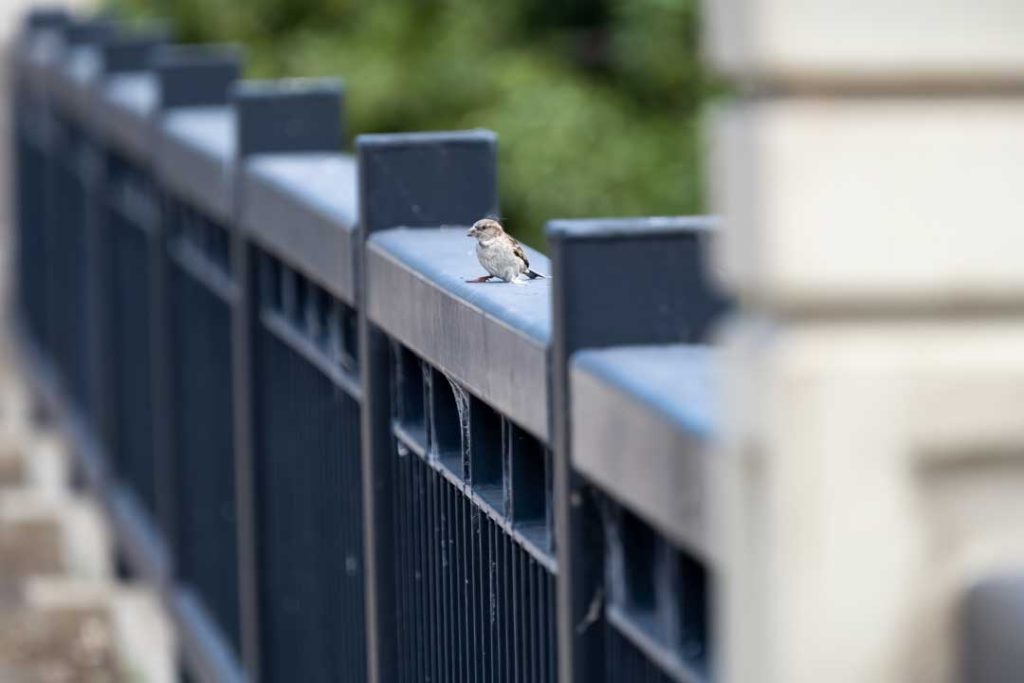 aluminum fencing tips