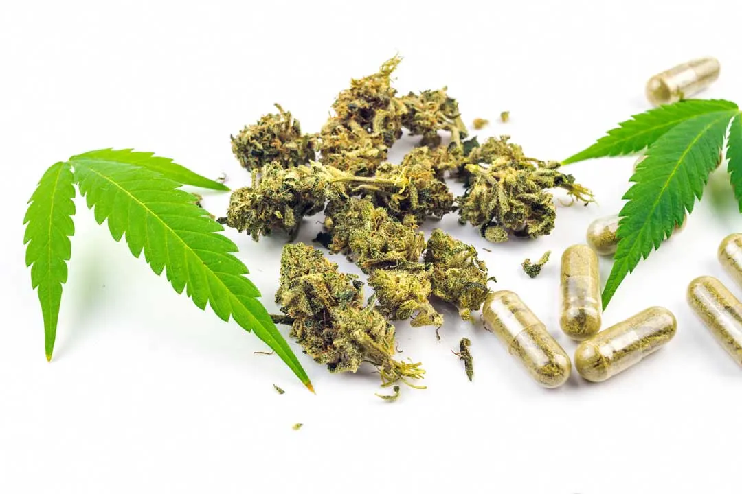 health benefits of cannabis