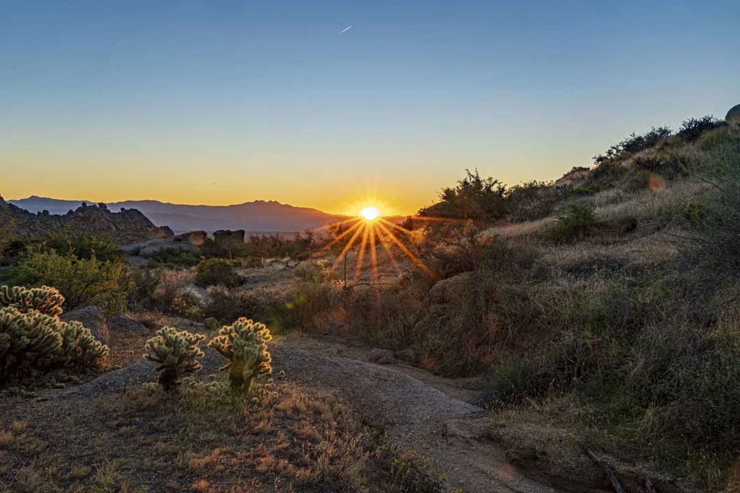 maintain landscape lighting in Phoenix