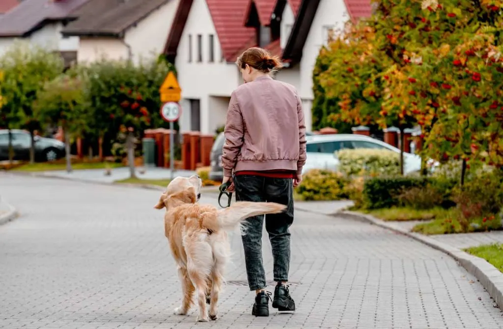 Snohomish residents enjoying a quiet walk along a tree-lined street