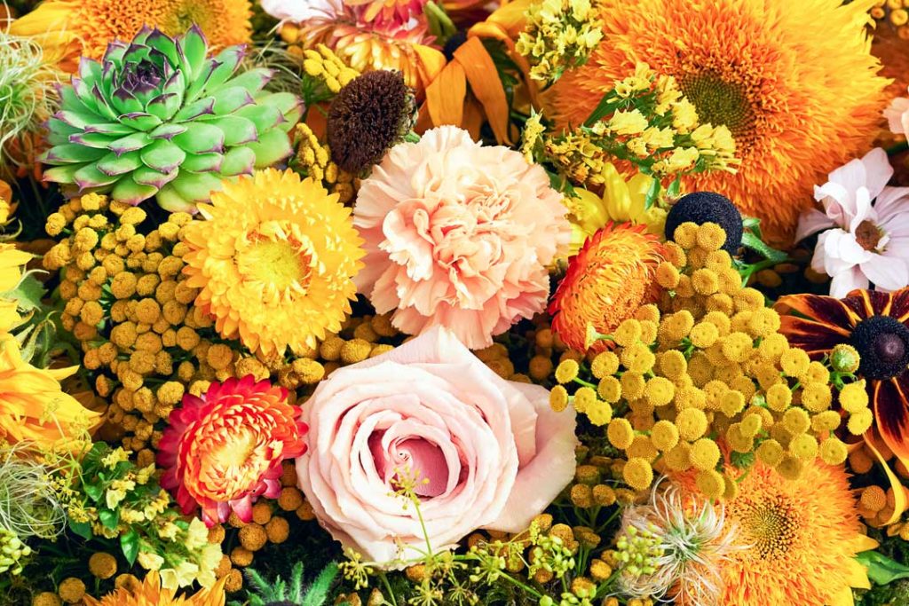 Celebrating International Women's Day with meaningful flowers