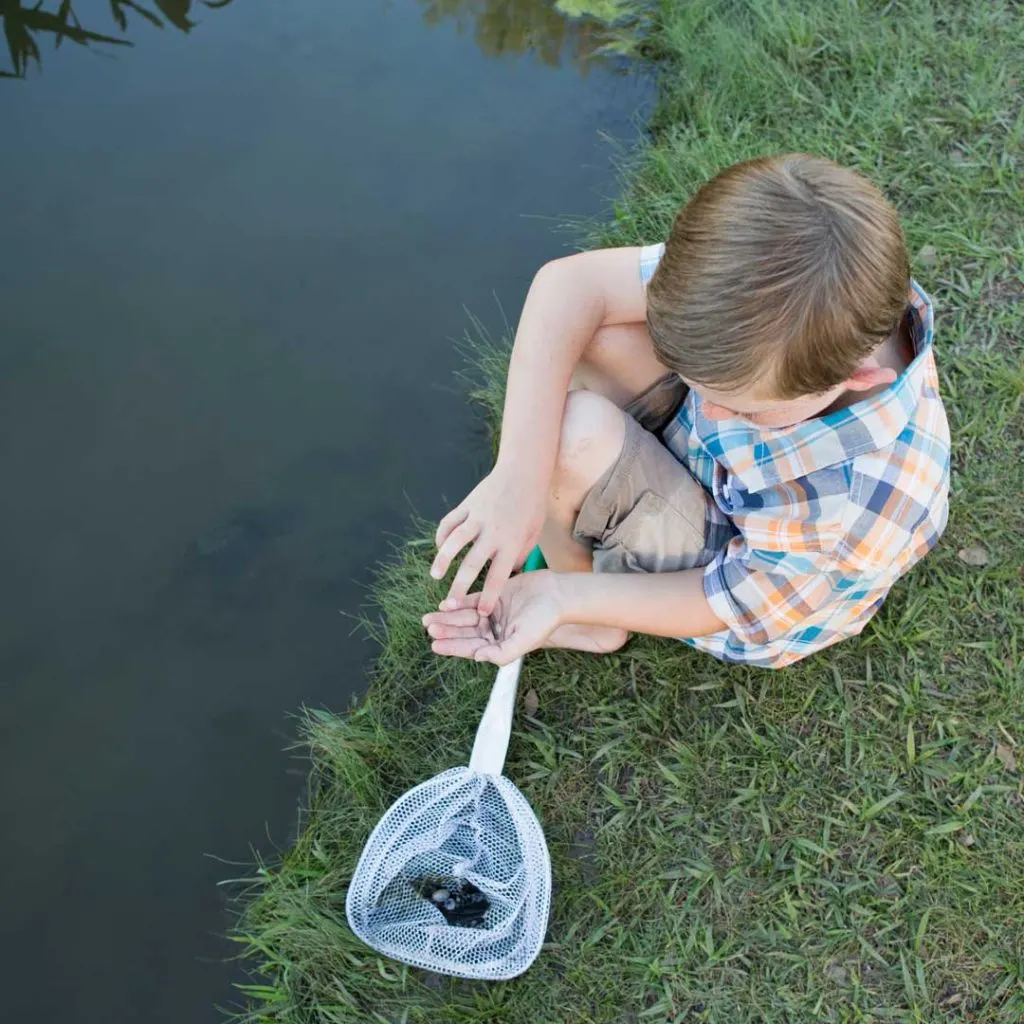 A child carefully releasing a fish back into the water with the help of an adult, demonstrating responsible catch-and-release practices during a family fishing trip.