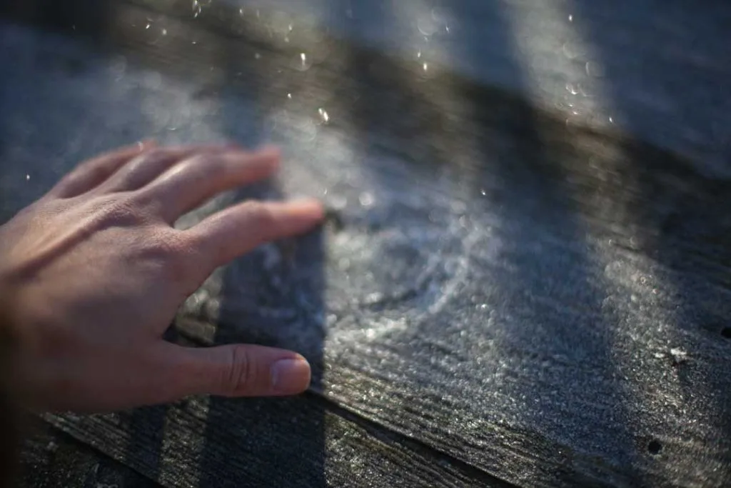 Discover a leaky roof