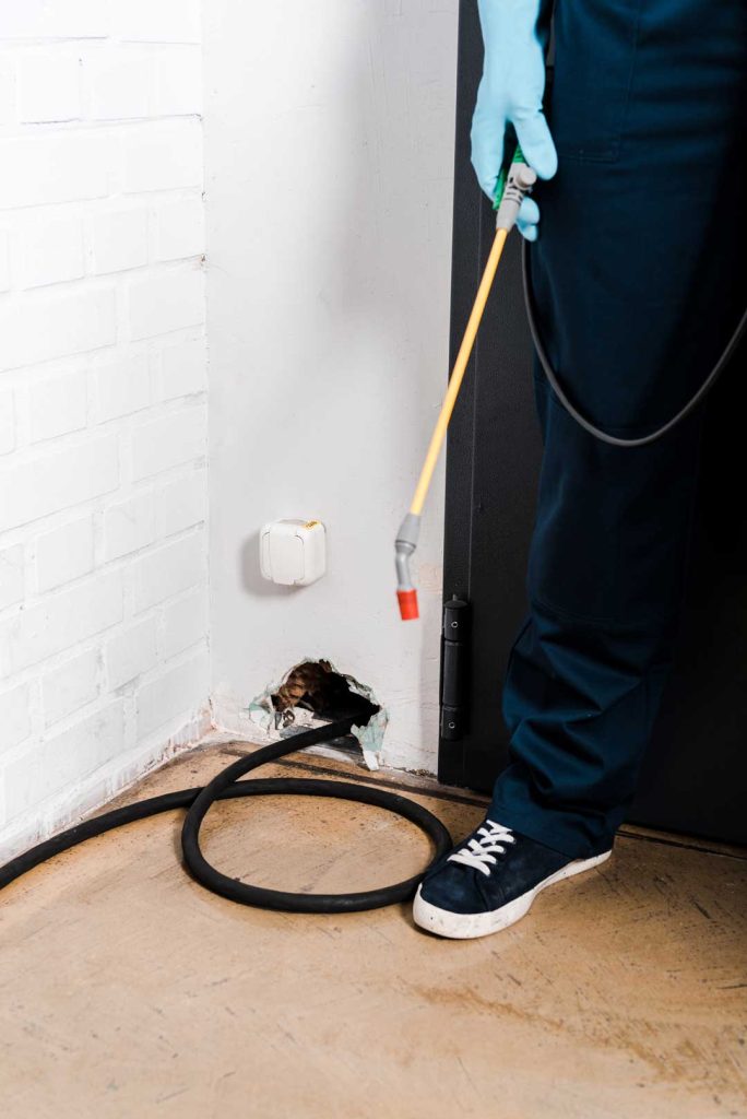 Early Pest Detection