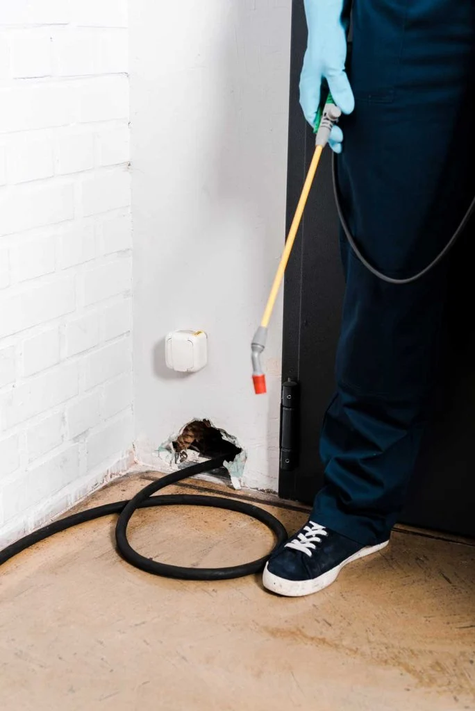 Early Pest Detection