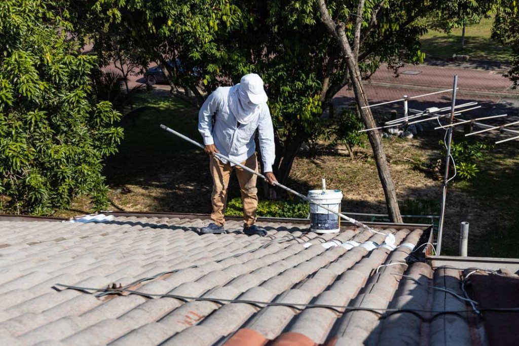 Immediate Steps for a Leaky Roof