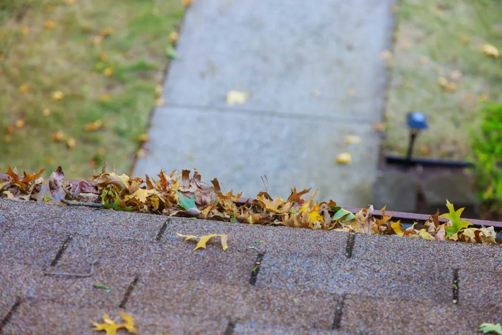 Clearing gutters to prevent storm damage