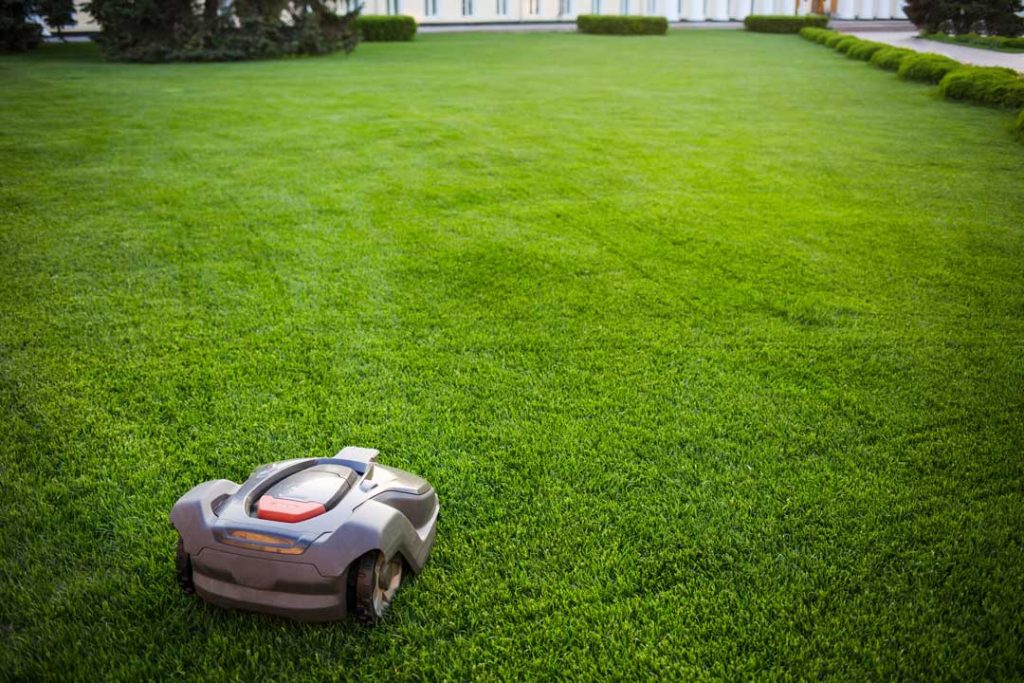 Robotic lawn mower trimming grass in a sunny backyard