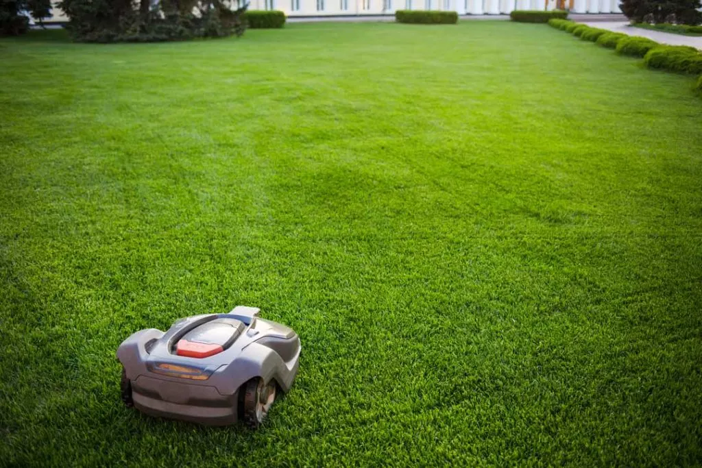 Robotic lawn mower trimming grass in a sunny backyard