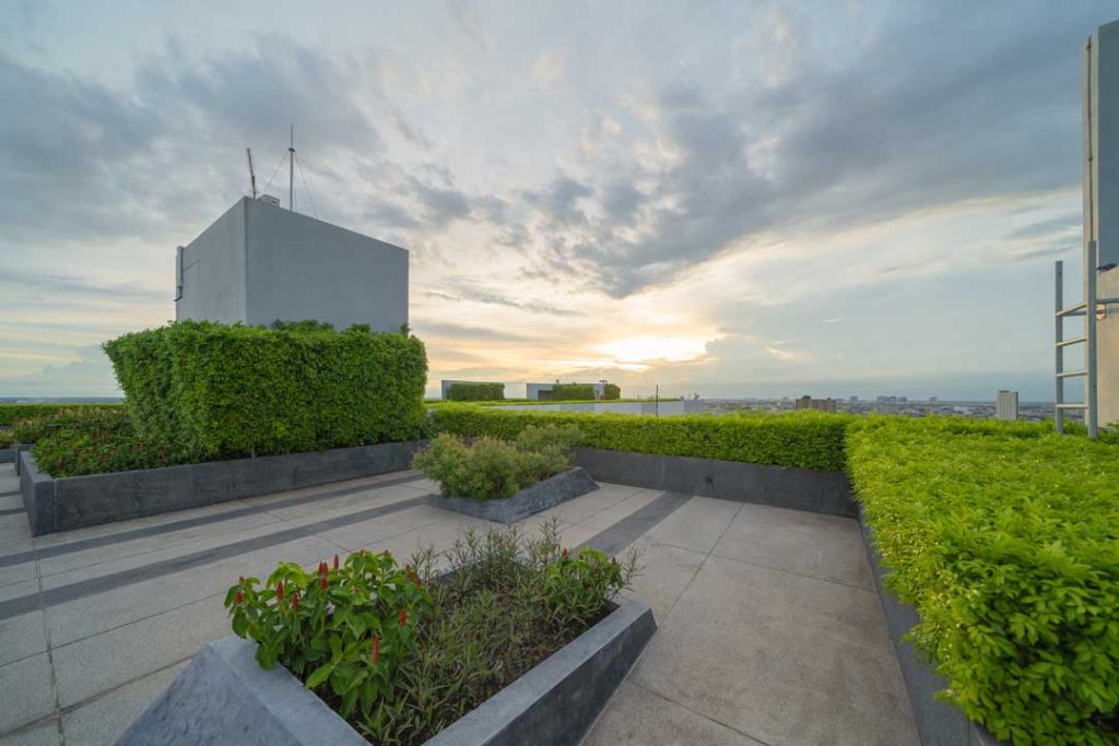 Green roof showing environmental benefits of sustainable roofing