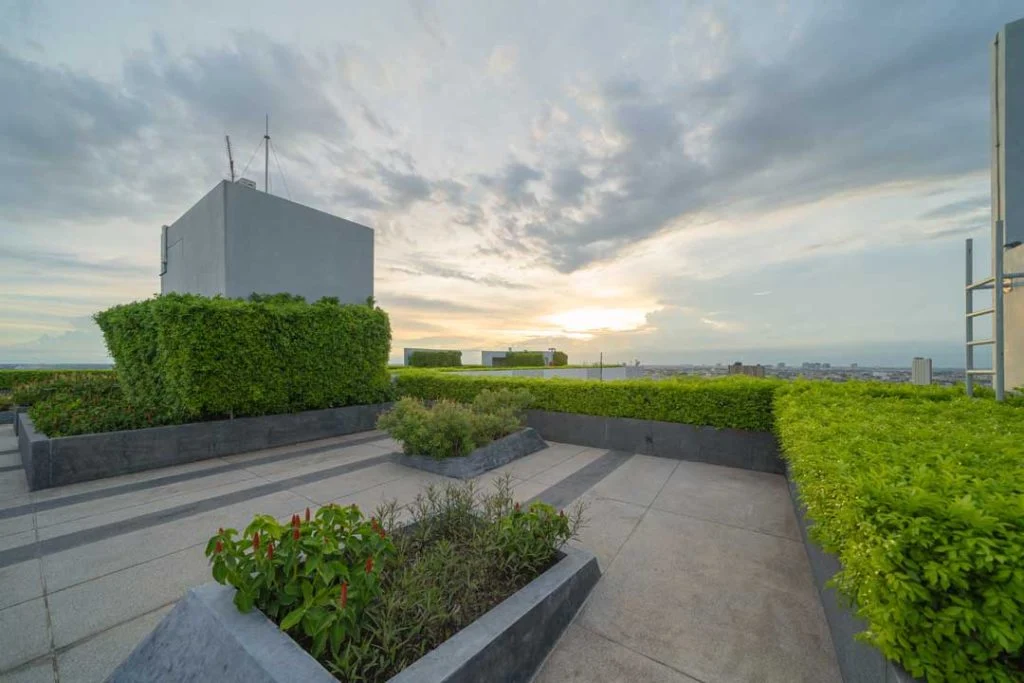Green roof showing environmental benefits of sustainable roofing