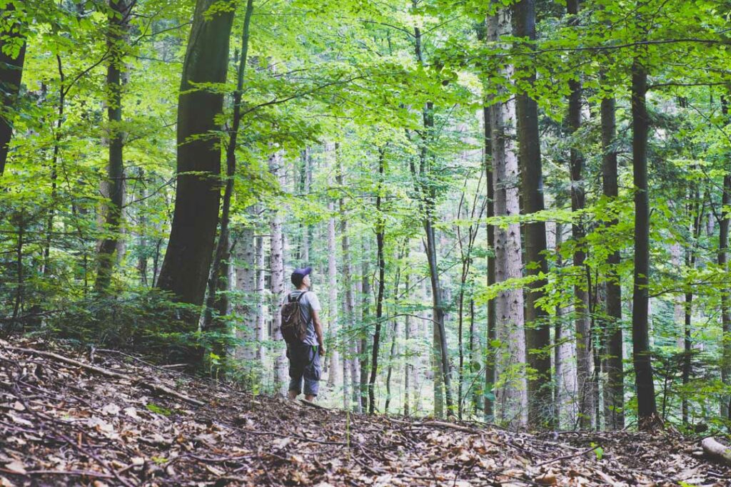Spend Time in Nature