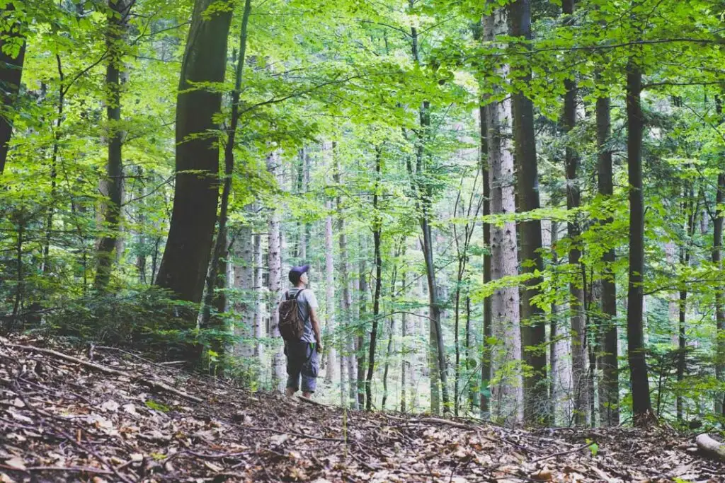 Spend Time in Nature
