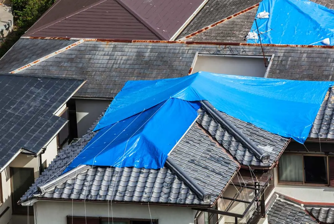 leaky roof what to do