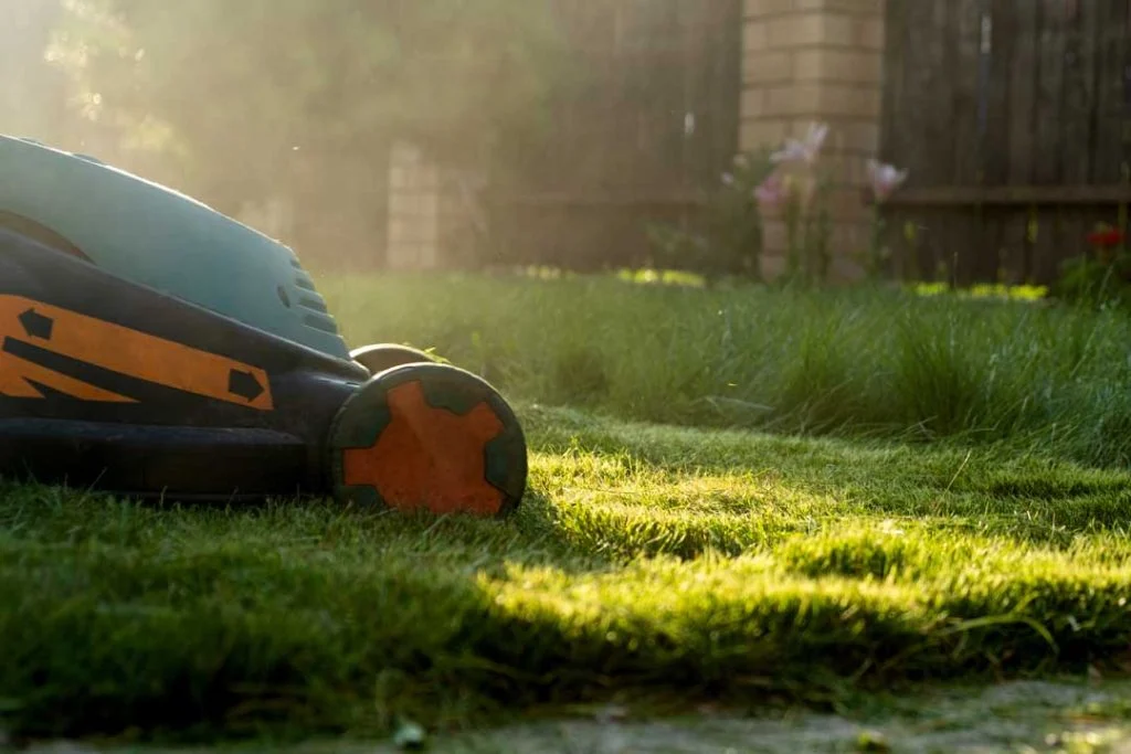modern robotic lawn mower