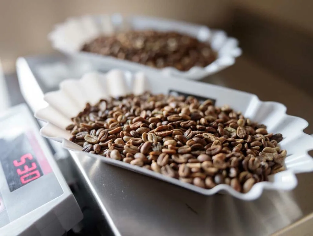 Common Concerns About Buying in Bulk