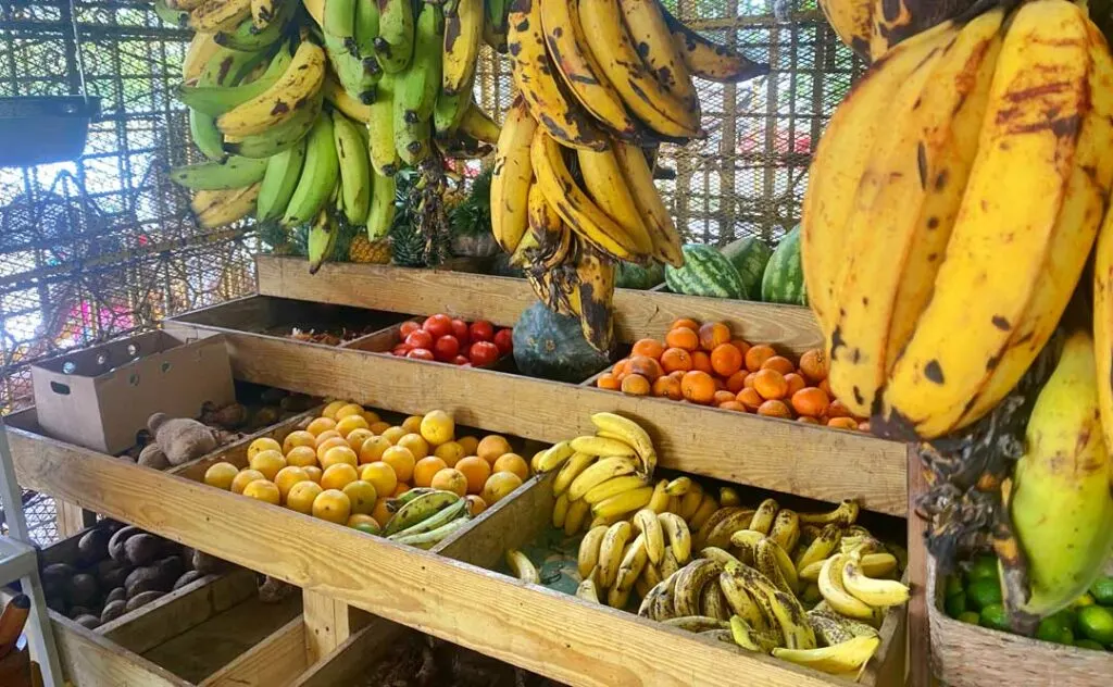 Fresh produce at a local market stall