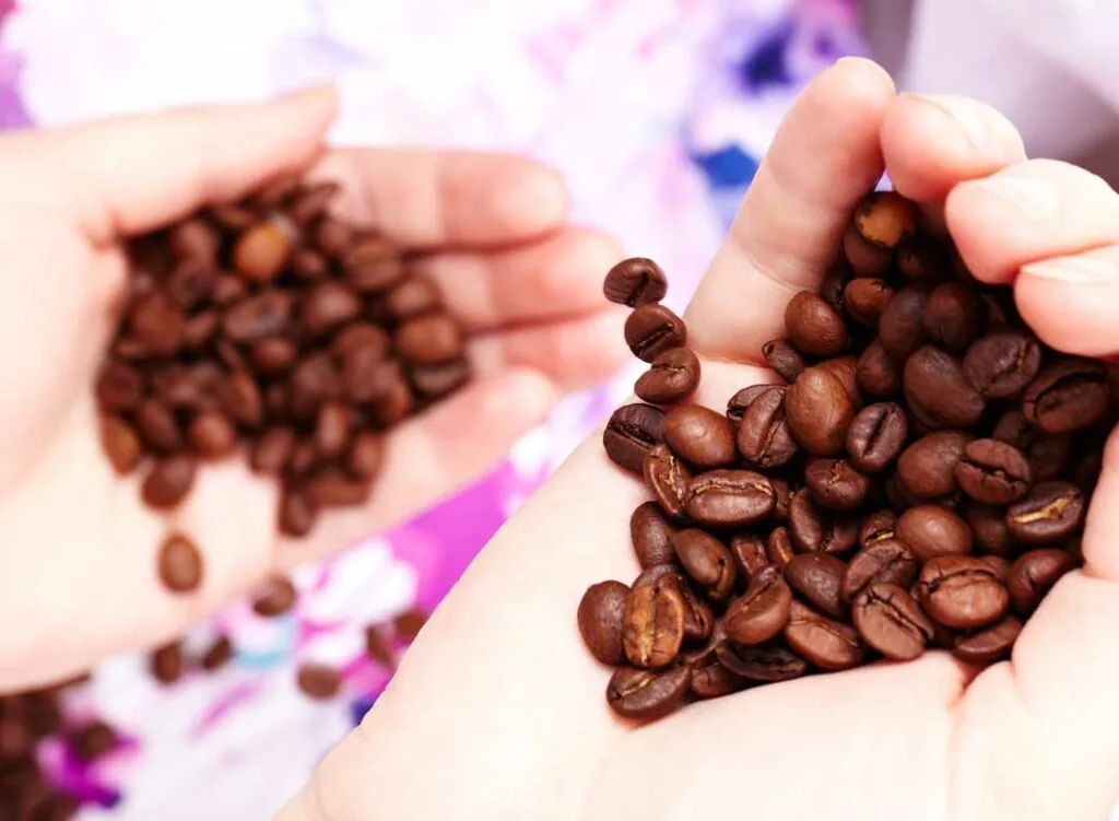 Strategies for Wholesale Coffee Purchasing
