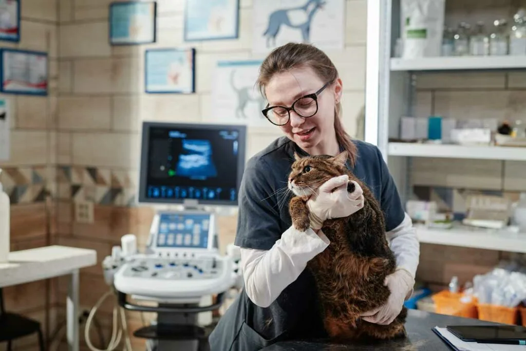 Veterinarian