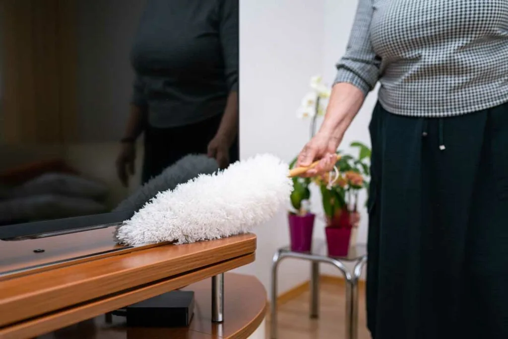 cleaning tips for family health