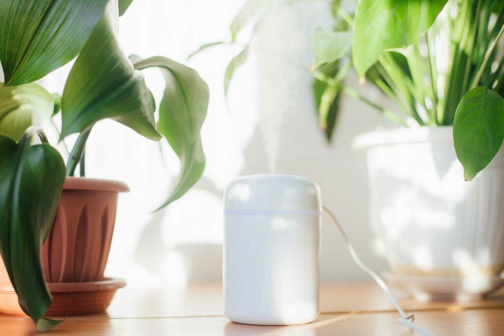 diffuser releasing mist next to a small plant and candles