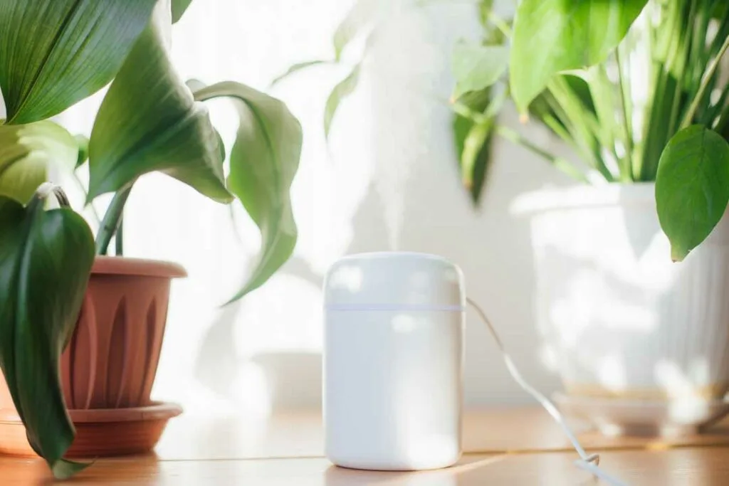 diffuser releasing mist next to a small plant and candles