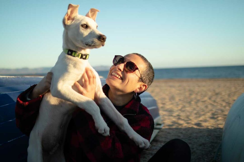 dog insurance plans