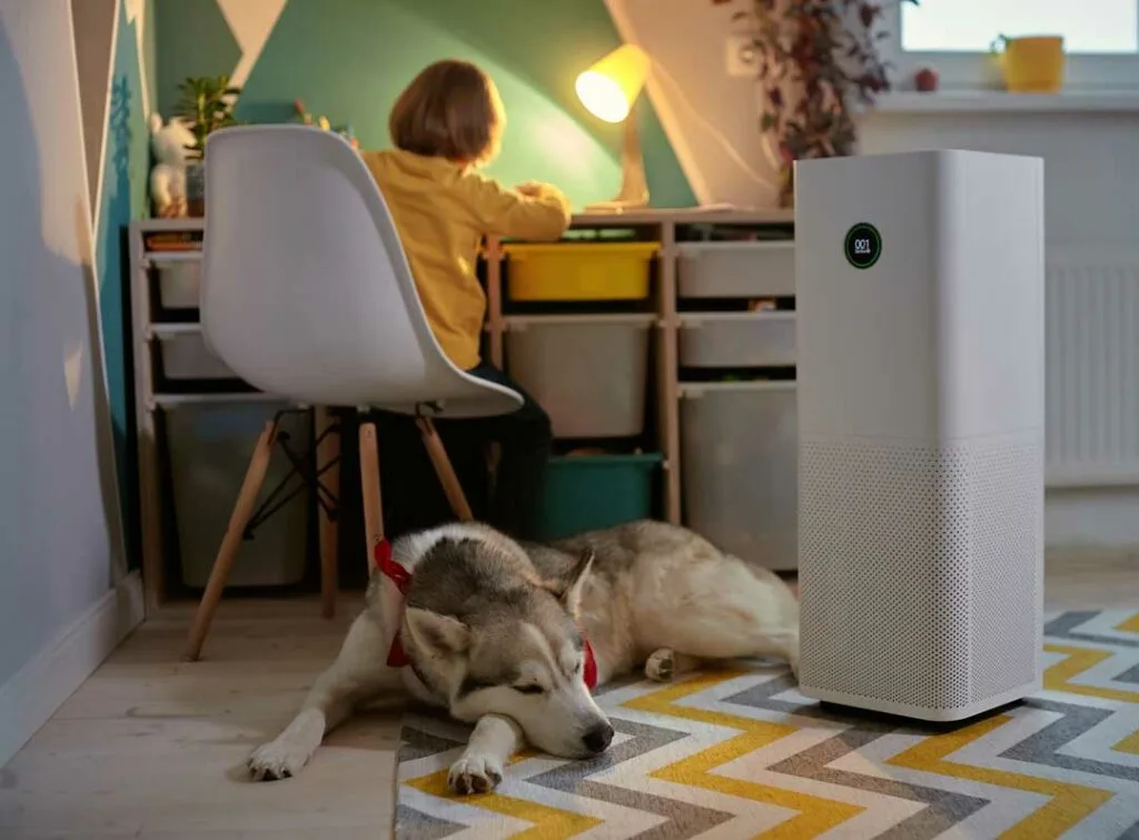 Busy Homes and Easy Ways to Reduce Air Pollution
