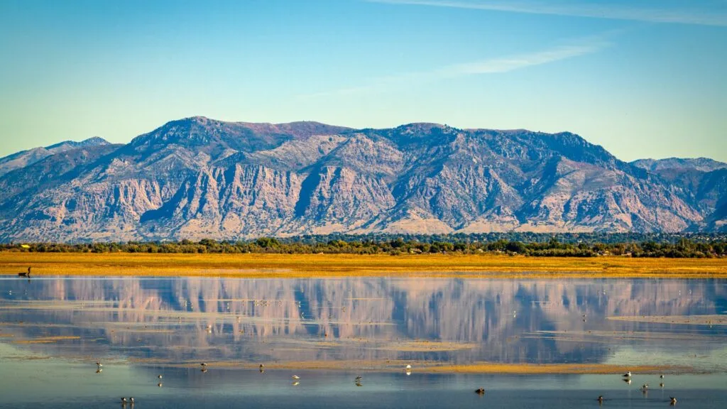 Innovative Sustainability in Water Management