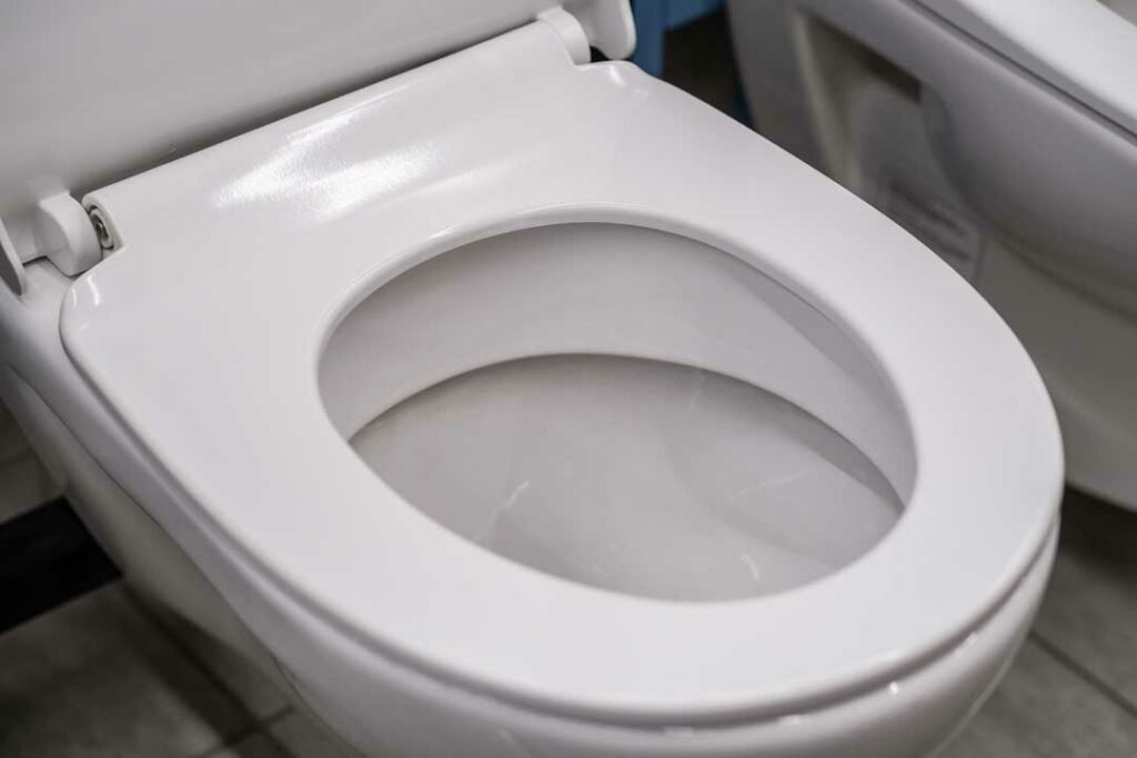 Loose Toilet Seat